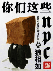 ������ЩNPC