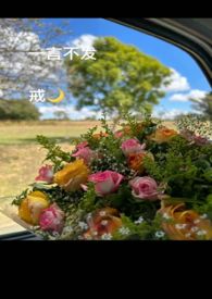һ�Բ���