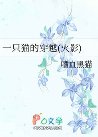 һֻè�Ĵ�Խ